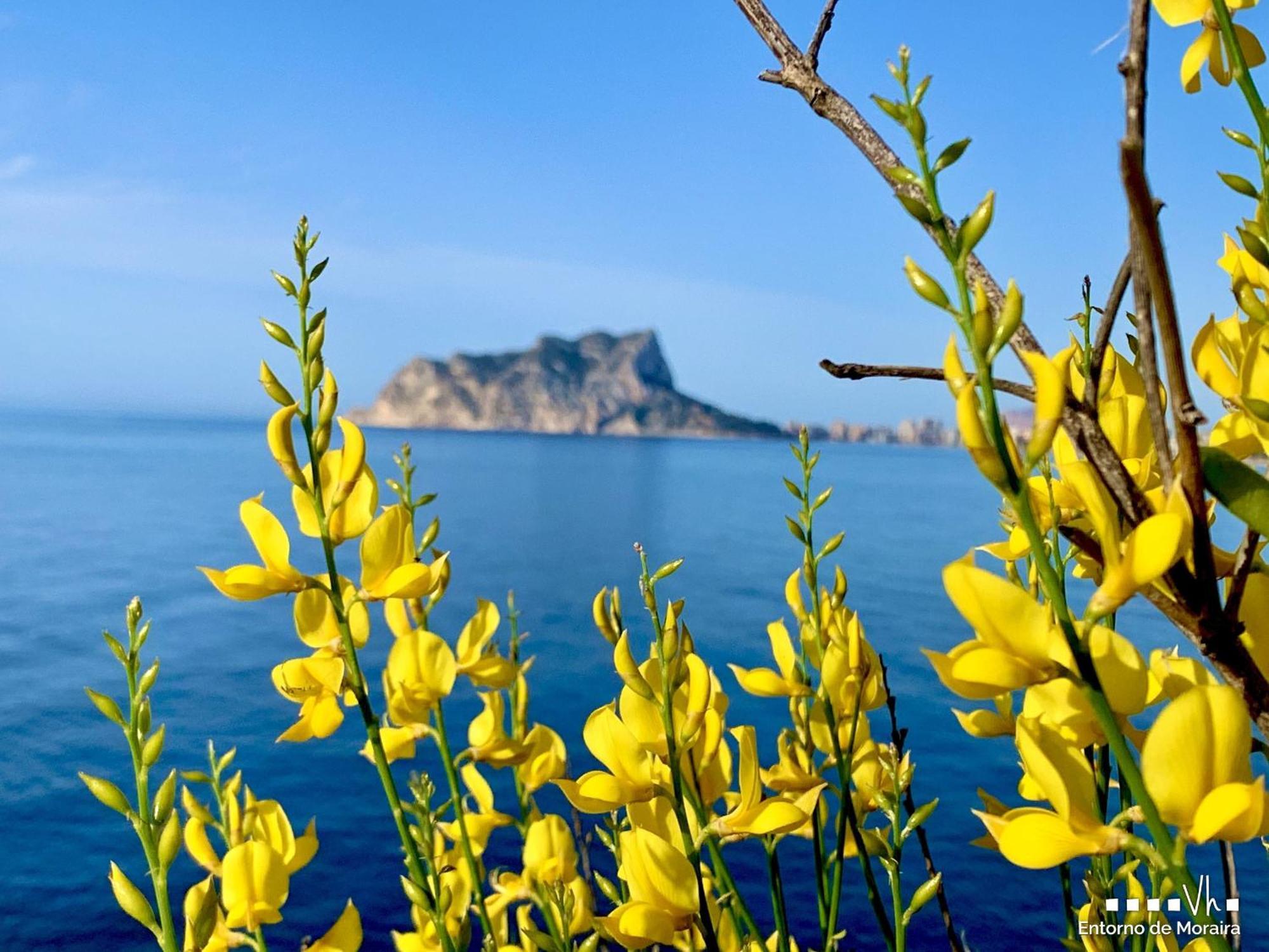 Vh Costablanca - Apartamento Riviera Moraira Εξωτερικό φωτογραφία